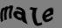 Enter the word